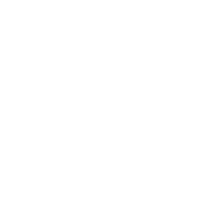 si 3